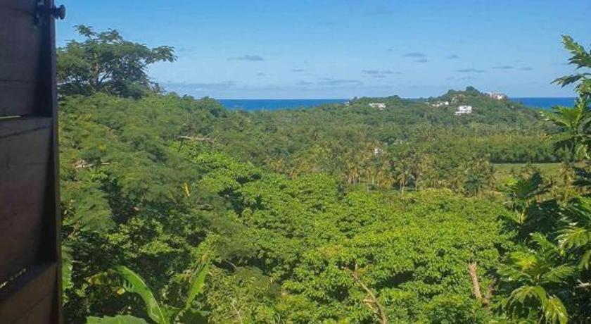 Bamboojam Villa Las Terrenas Dış mekan fotoğraf