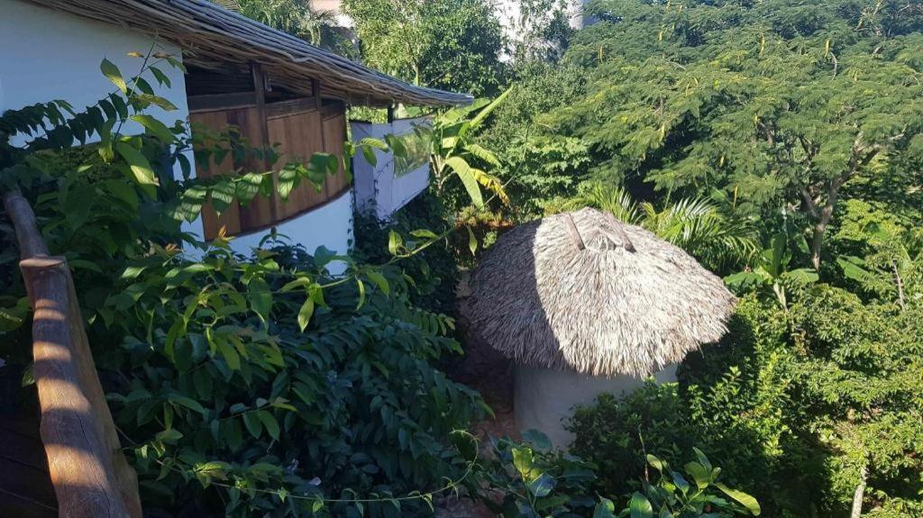Bamboojam Villa Las Terrenas Dış mekan fotoğraf