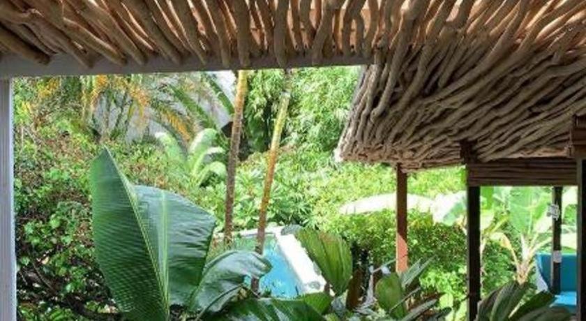 Bamboojam Villa Las Terrenas Dış mekan fotoğraf